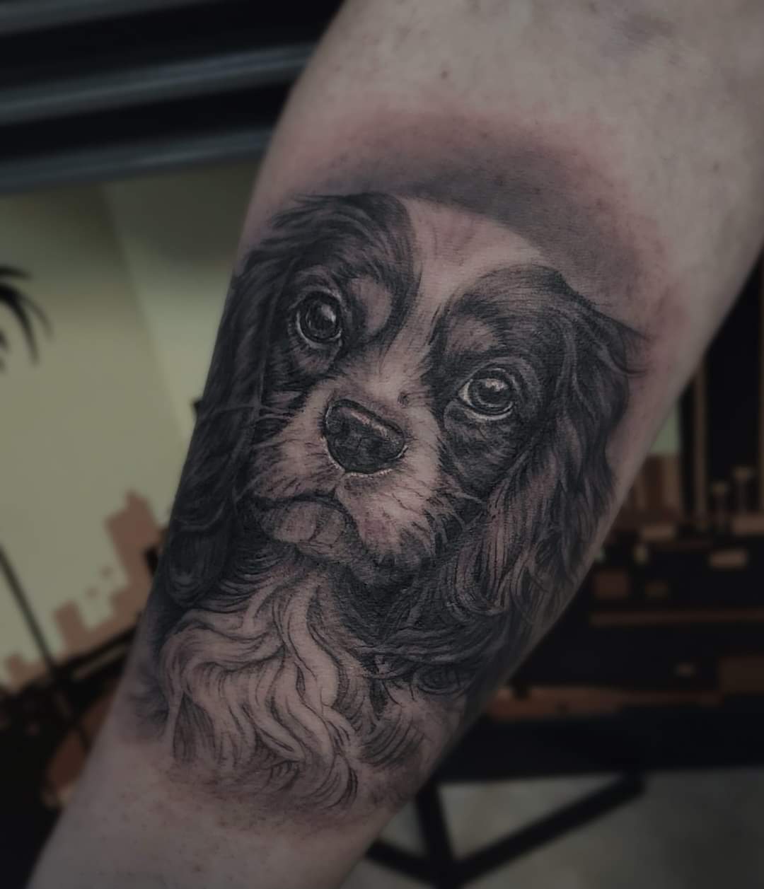 Portret tattoo foto hond